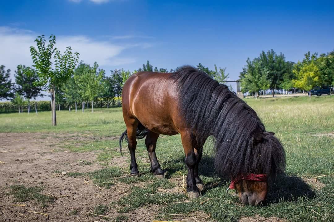 Отель Salas Tatic Turija Экстерьер фото
